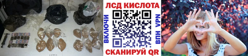LSD-25 экстази ecstasy  блэк спрут tor  Новозыбков 