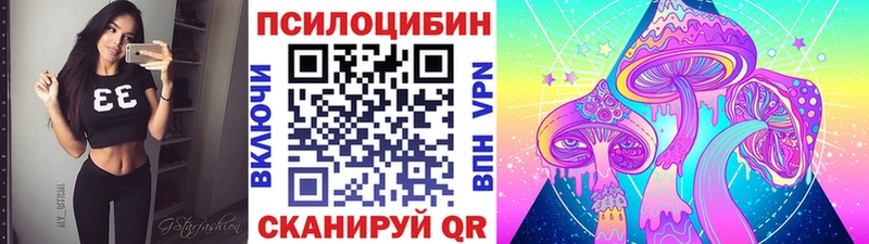 Псилоцибиновые грибы Cubensis  даркнет состав  Новозыбков  кракен онион 