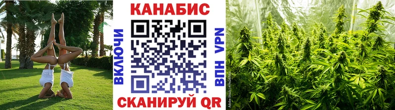 МАРИХУАНА White Widow купить Новозыбков